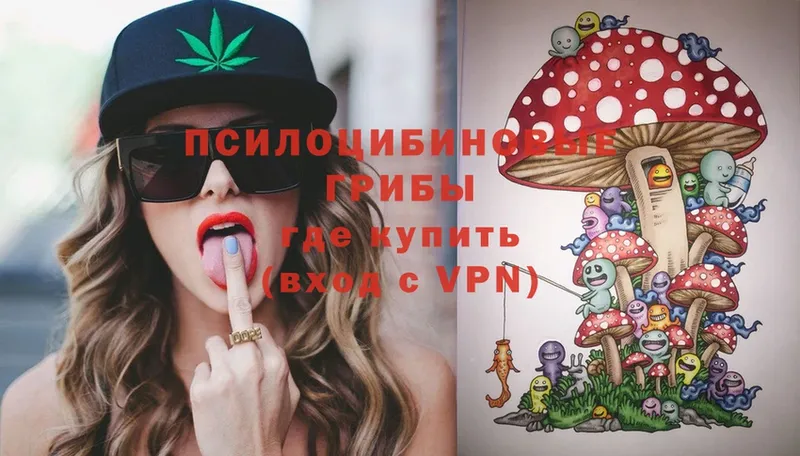 Псилоцибиновые грибы Psilocybe  Краснокаменск 